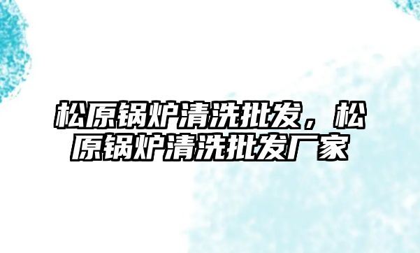 松原鍋爐清洗批發，松原鍋爐清洗批發廠家