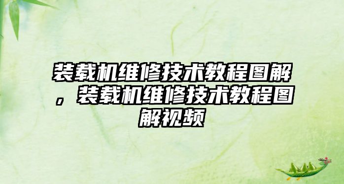 裝載機維修技術教程圖解，裝載機維修技術教程圖解視頻