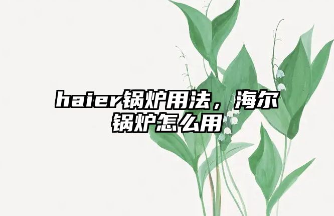 haier鍋爐用法，海爾鍋爐怎么用