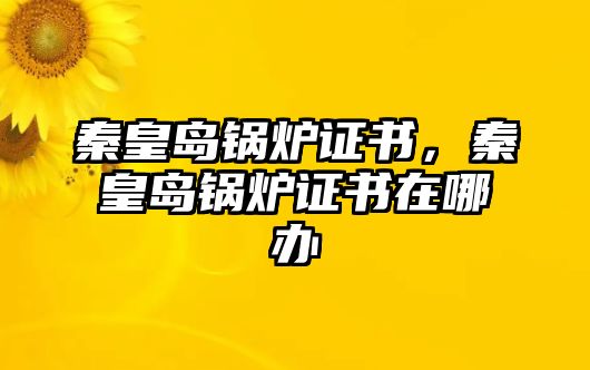 秦皇島鍋爐證書，秦皇島鍋爐證書在哪辦