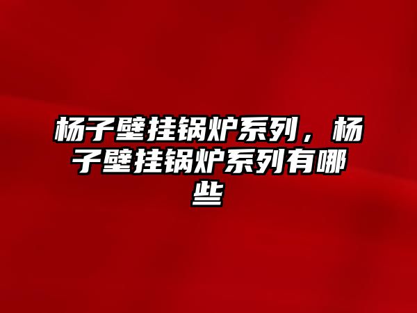 楊子壁掛鍋爐系列，楊子壁掛鍋爐系列有哪些