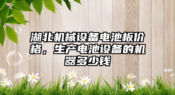 湖北機械設備電池板價格，生產電池設備的機器多少錢