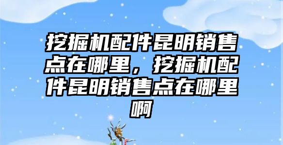 挖掘機配件昆明銷售點在哪里，挖掘機配件昆明銷售點在哪里啊