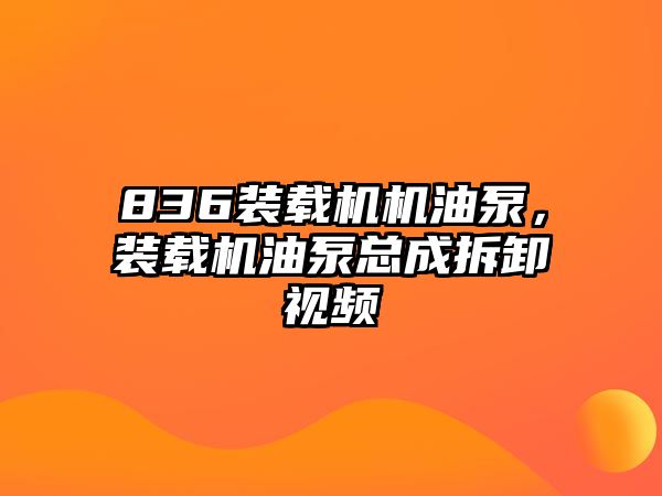 836裝載機(jī)機(jī)油泵，裝載機(jī)油泵總成拆卸視頻