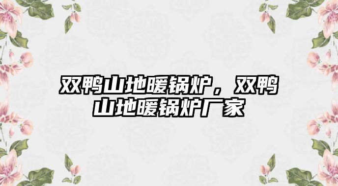 雙鴨山地暖鍋爐，雙鴨山地暖鍋爐廠家