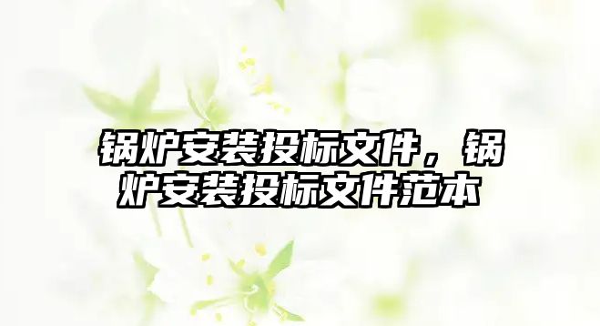 鍋爐安裝投標(biāo)文件，鍋爐安裝投標(biāo)文件范本