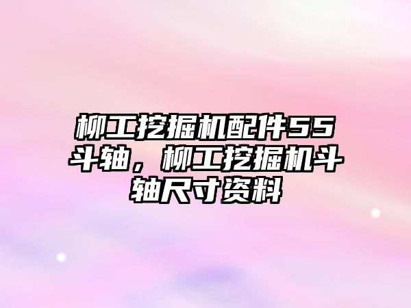 柳工挖掘機配件55斗軸，柳工挖掘機斗軸尺寸資料