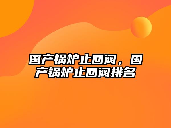 國產(chǎn)鍋爐止回閥，國產(chǎn)鍋爐止回閥排名