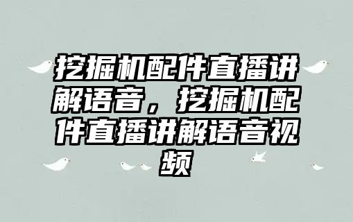 挖掘機配件直播講解語音，挖掘機配件直播講解語音視頻