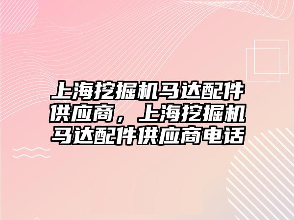 上海挖掘機馬達配件供應商，上海挖掘機馬達配件供應商電話