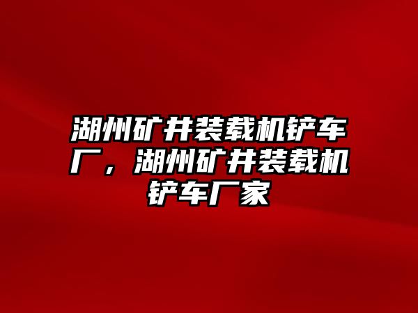 湖州礦井裝載機(jī)鏟車廠，湖州礦井裝載機(jī)鏟車廠家