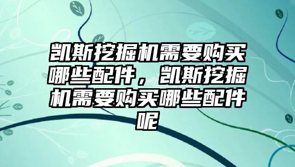 凱斯挖掘機需要購買哪些配件，凱斯挖掘機需要購買哪些配件呢