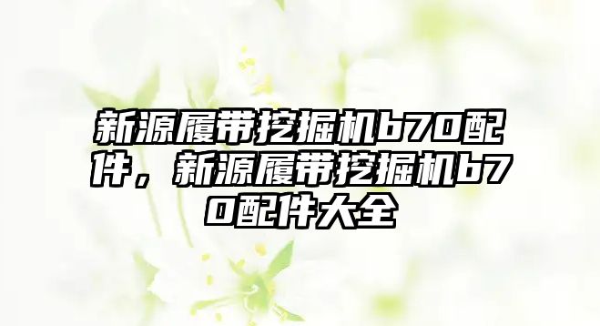 新源履帶挖掘機b70配件，新源履帶挖掘機b70配件大全