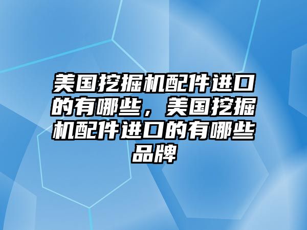 美國挖掘機配件進口的有哪些，美國挖掘機配件進口的有哪些品牌