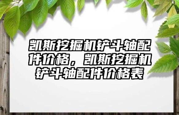 凱斯挖掘機鏟斗軸配件價格，凱斯挖掘機鏟斗軸配件價格表