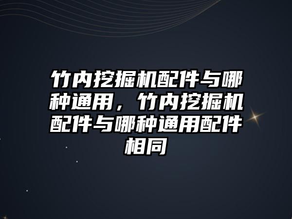 竹內(nèi)挖掘機配件與哪種通用，竹內(nèi)挖掘機配件與哪種通用配件相同