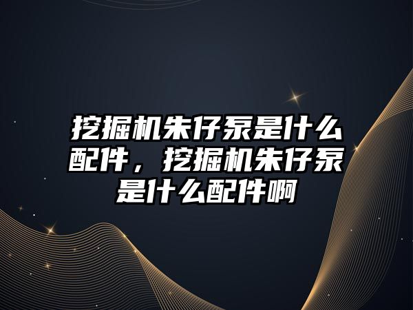 挖掘機朱仔泵是什么配件，挖掘機朱仔泵是什么配件啊