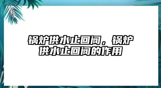 鍋爐供水止回閥，鍋爐供水止回閥的作用