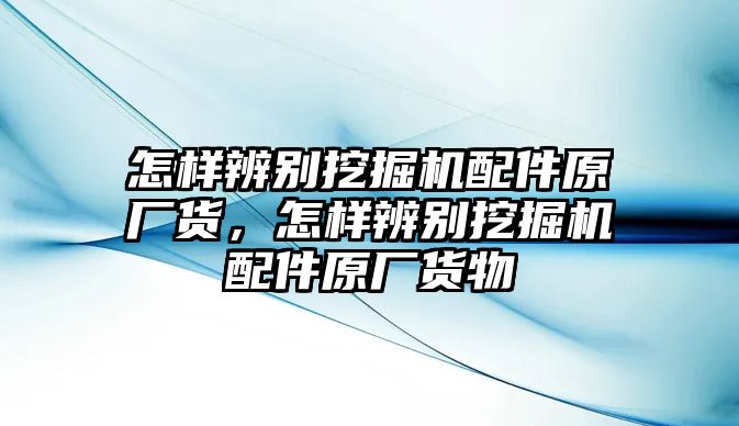 怎樣辨別挖掘機配件原廠貨，怎樣辨別挖掘機配件原廠貨物