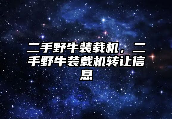 二手野牛裝載機，二手野牛裝載機轉讓信息