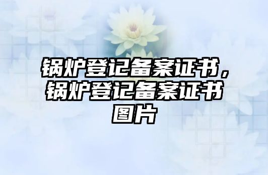 鍋爐登記備案證書，鍋爐登記備案證書圖片