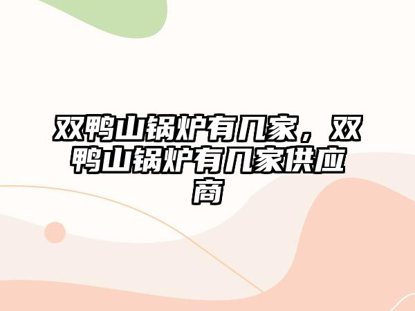 雙鴨山鍋爐有幾家，雙鴨山鍋爐有幾家供應(yīng)商