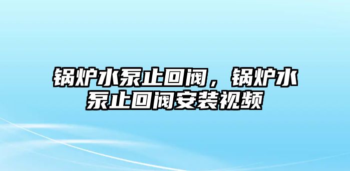 鍋爐水泵止回閥，鍋爐水泵止回閥安裝視頻