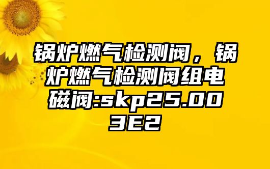 鍋爐燃氣檢測閥，鍋爐燃氣檢測閥組電磁閥:skp25.003E2