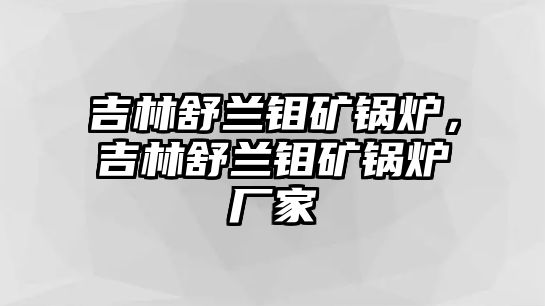 吉林舒蘭鉬礦鍋爐，吉林舒蘭鉬礦鍋爐廠家