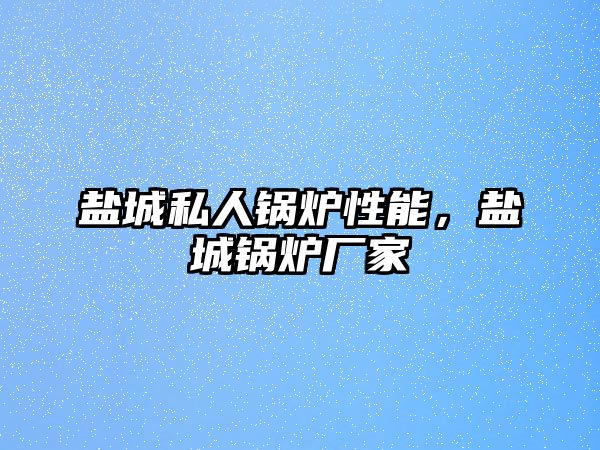 鹽城私人鍋爐性能，鹽城鍋爐廠家