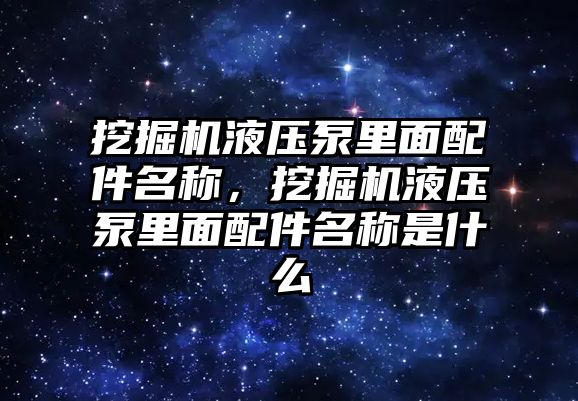 挖掘機液壓泵里面配件名稱，挖掘機液壓泵里面配件名稱是什么