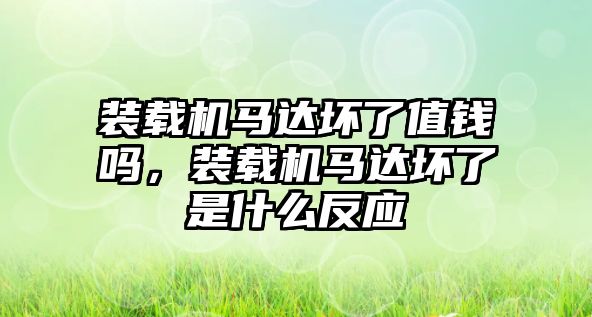 裝載機馬達壞了值錢嗎，裝載機馬達壞了是什么反應