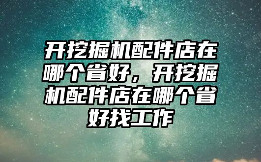 開挖掘機配件店在哪個省好，開挖掘機配件店在哪個省好找工作