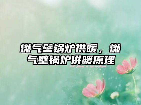 燃氣壁鍋爐供暖，燃氣壁鍋爐供暖原理