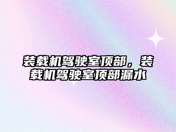 裝載機駕駛室頂部，裝載機駕駛室頂部漏水