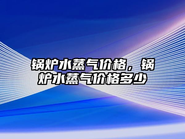 鍋爐水蒸氣價格，鍋爐水蒸氣價格多少