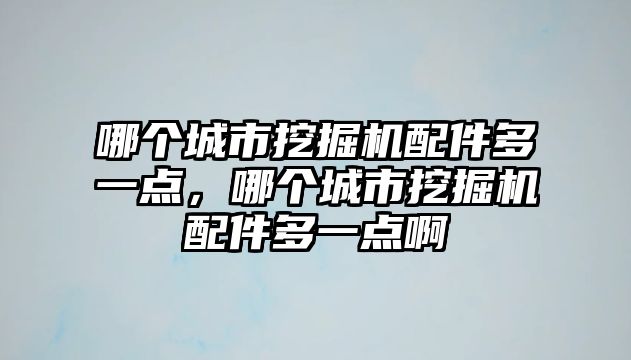 哪個城市挖掘機(jī)配件多一點，哪個城市挖掘機(jī)配件多一點啊