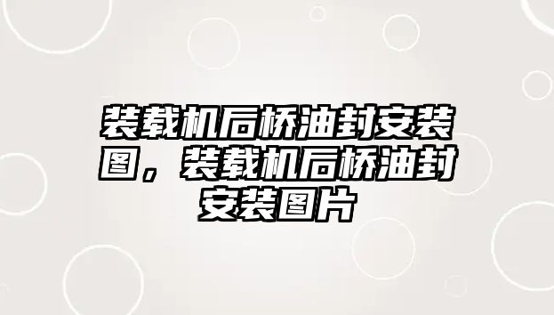 裝載機后橋油封安裝圖，裝載機后橋油封安裝圖片