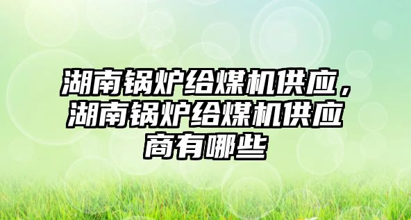 湖南鍋爐給煤機供應，湖南鍋爐給煤機供應商有哪些