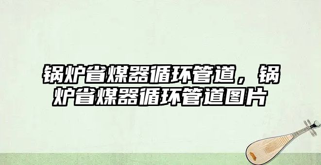 鍋爐省煤器循環管道，鍋爐省煤器循環管道圖片