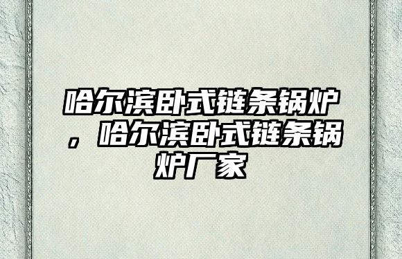 哈爾濱臥式鏈條鍋爐，哈爾濱臥式鏈條鍋爐廠家