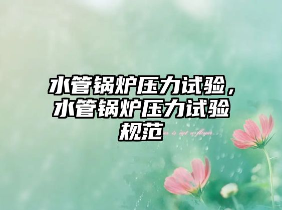 水管鍋爐壓力試驗，水管鍋爐壓力試驗規范