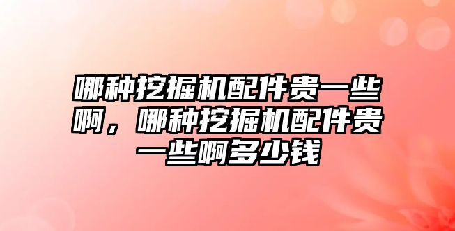 哪種挖掘機(jī)配件貴一些啊，哪種挖掘機(jī)配件貴一些啊多少錢