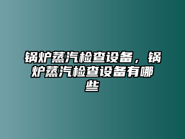 鍋爐蒸汽檢查設備，鍋爐蒸汽檢查設備有哪些