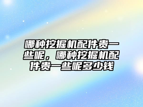 哪種挖掘機配件貴一些呢，哪種挖掘機配件貴一些呢多少錢