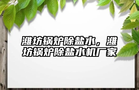 濰坊鍋爐除鹽水，濰坊鍋爐除鹽水機廠家