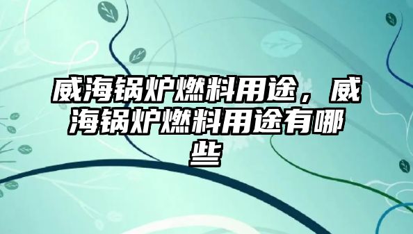 威海鍋爐燃料用途，威海鍋爐燃料用途有哪些