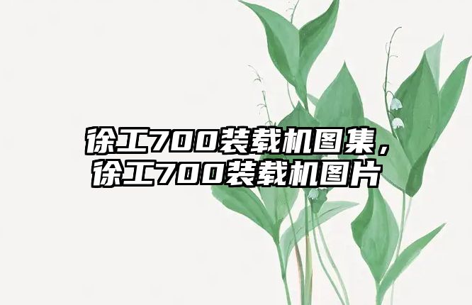 徐工700裝載機圖集，徐工700裝載機圖片