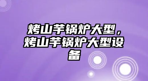 烤山芋鍋爐大型，烤山芋鍋爐大型設備