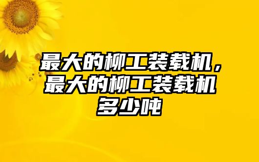 最大的柳工裝載機，最大的柳工裝載機多少噸